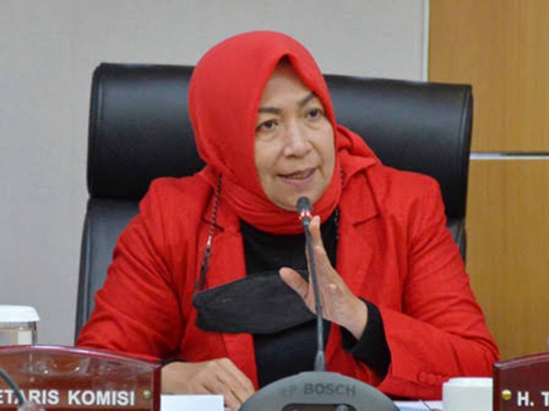 Wa Ode Herlina, Sekretaris Komisi B DPRD DKI Jakarta. *ist